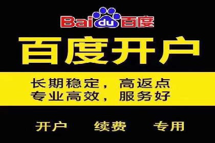 竞价代运营助力品牌崛起案例